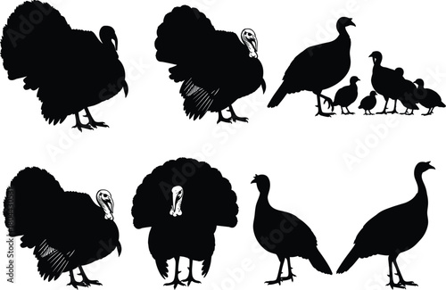 Turkey bird silhouette vector collection showing wild and domestic turkeys in various poses, perfect for farm, wildlife, and Thanksgiving design.