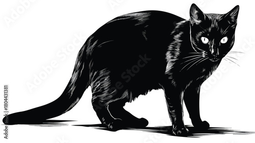 Sleek Black Cat Vector Art on White Background for Graphic Design Projects
