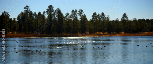 Lake of the Woods Arizona