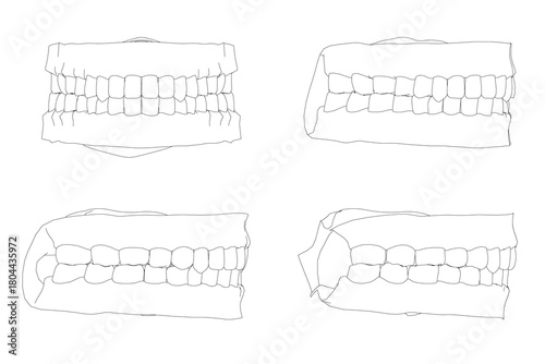 Four human teeth contours in varied shapes and sizes, featuring curved and straight designs