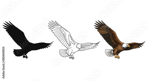 Eagle flying in different styles bird of prey vector illustration set american symbol