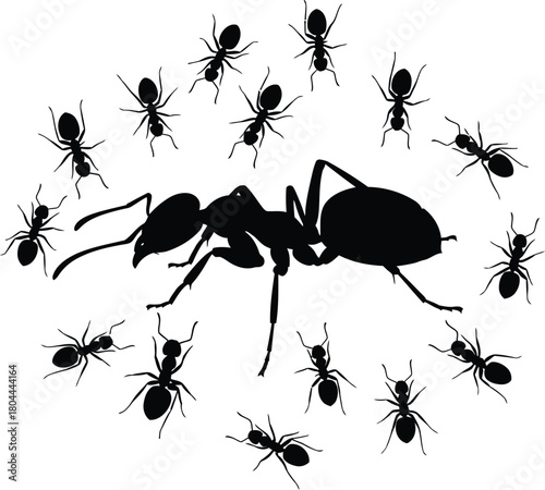 Ant colony silhouette vector illustration insect pest control graphic eps