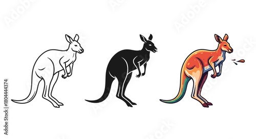 Three kangaroos in different styles outline, silhouette, and color drawing vector illustration of marsupial