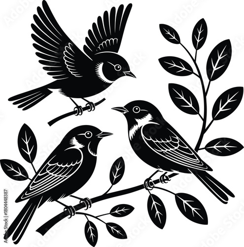 Cute vector bird and bullfinch silhouettes drawing on a tree branch illustration design