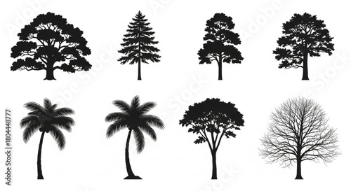 Tree Silhouettes Vector Illustration of Oak, Pine, Palm, and Bare Trees, Minimal Nature Design Layout

