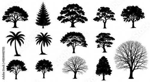 Tree Silhouettes Vector Illustration of Oak, Pine, Palm, and Bare Trees, Minimal Nature Design Layout


