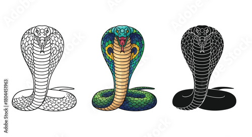 Three king cobra snake illustrations in different styles, including line art, silhouette, and color
