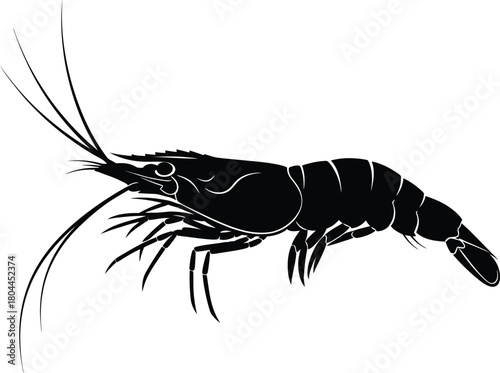 Black shrimp vector illustration seafood crustacean graphic design art eps silhouette
