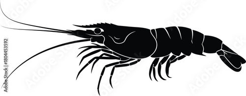 Black shrimp vector illustration seafood graphic design sea animal art eps silhouette