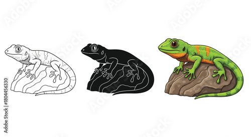Gecko sitting a rock, available in color, silhouette, and outline versions