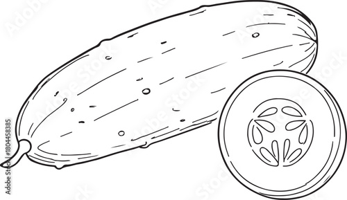 cucumber line art silhouette vector art illustration
