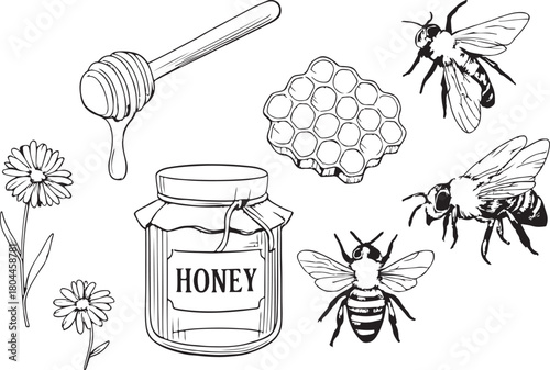 pure natural honey dripping from honeycomb vector line art