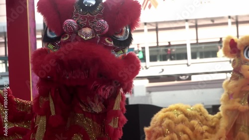 Chinese lion dance performing, Slow motion.	