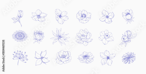 Botanic set of detailed various flowers. Luxury vintage floral collection for wedding invitation, wallpaper art or save the date card. Botanical vector illustration