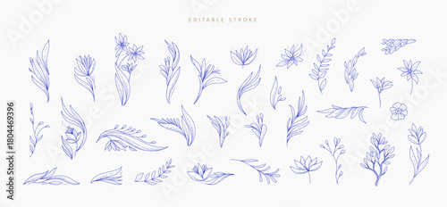 Set of detailed floral and botanical decorations elements. Luxury elegant design elements for wedding invitation, wallpaper art or save the date card