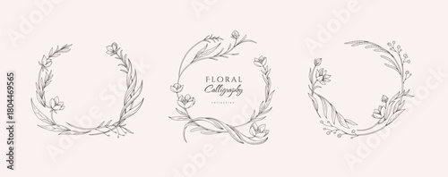 Set of elegant calligraphic botanical design elements, floral frame and graceful branches. Wedding wildflowers for invitation save the date card. Botanical feminine rustic vector illustration