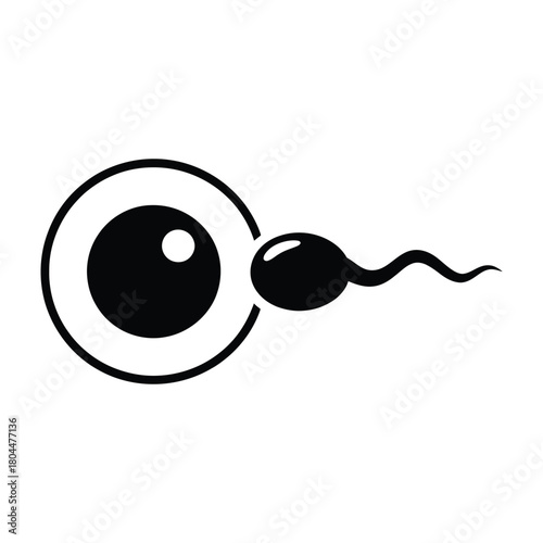 Sperm approaching egg for fertilization illustration