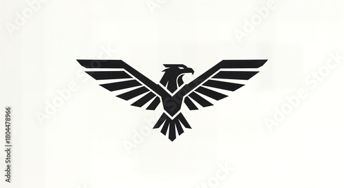 A striking black eagle logo with wings spread wide, symbolizing strength and freedom, set against a clean white background.