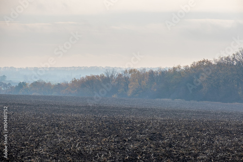 Wide horizontal landscape of a dark, freshly plowed field in the foreground. A hazy, muted forest line stands against an overcast sky, symbolizing the transition into late autumn and harvest season.