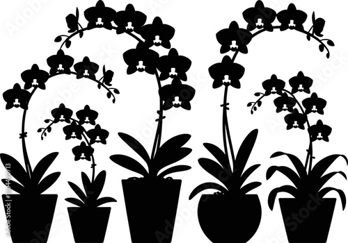 Elegant Potted Orchid Plant Silhouettes Vector Set - Decorative Black and White Botanical Illustration for Nature, Home Decor, Stencils, and Floral Design Icons.