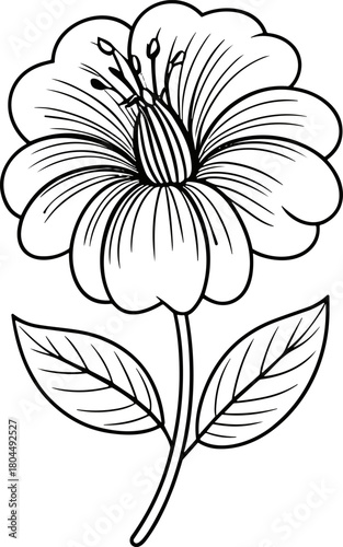 Elegant Single orched Flower Line Art Vector Illustration Isolated on White Background for Coloring Books, Print, and Botanical Tattoo Designs – Detailed Outline Drawing of a Tropical Bloom