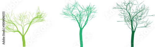 Three Trees in Different Shades of Green on White Background Vector Illustration for Decoration or Design Element