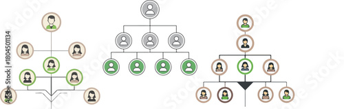 Family Tree Infographic Hierarchical Flowchart Vector Illustration
