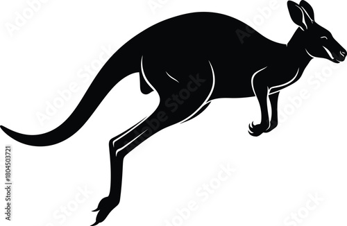 Kangaroo silhouette vector illustration australian wildlife animal art eps