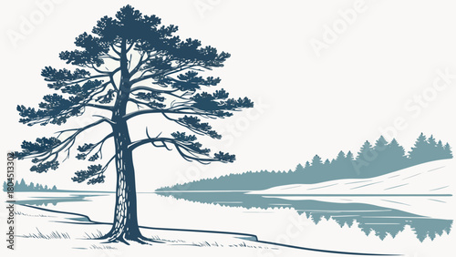 Vector illustration of a pine tree on a lake shore reflected in the water serene nature scene for backgrounds and designs