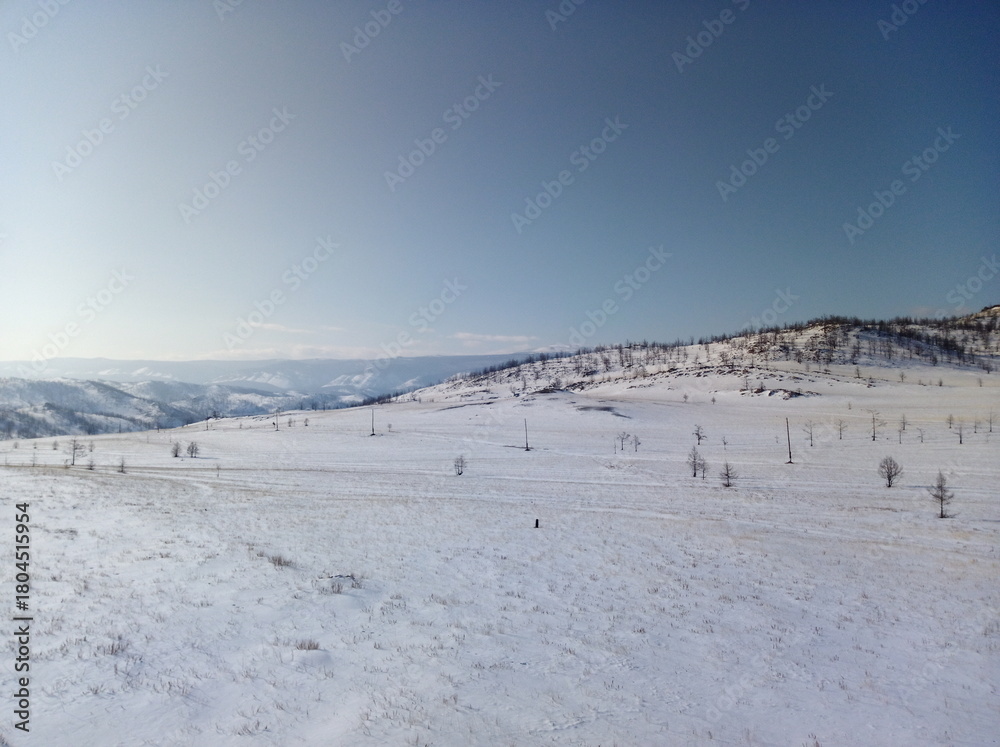 Fototapeta premium Sunny Winter Landscape in Siberia, Snowy Hills and Clear Blue Sky
