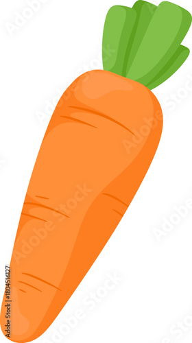 illustration carrot
