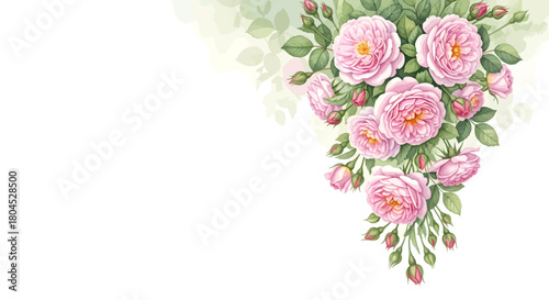 Watercolor painting of pink roses with green leaves, cascading from the upper right corner.