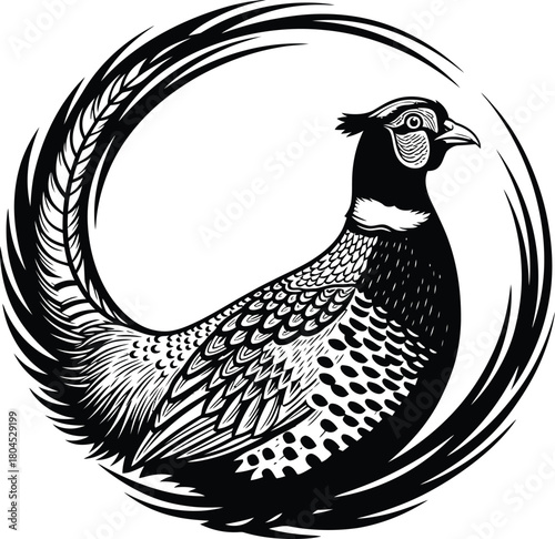 Pheasant illustration black and white bird drawing wildlife art print eps silhouette