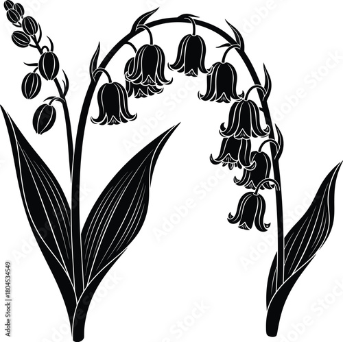 Black and white bonsai tree vector illustration nature landscape art eps silhouette