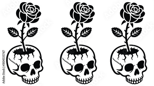 A vibrant red rose emerges from a dramatically cracked skull symbolizing rebirth resilience or the juxtaposition of life and death ideal for gothic or artistic themes