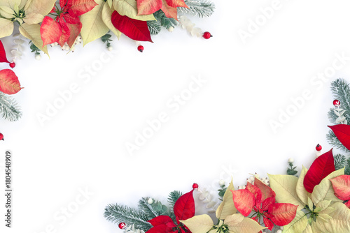 Christmas decoration with red and white poinsettia flowers, white and red berries and fir branches on a white background with copy space. Top view, flat lay