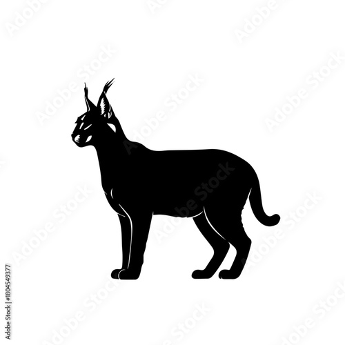 Black silhouette of a caracal standing sideways on a white background, showcasing its distinctive ear tufts and elegant profile.