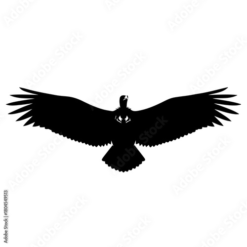 Silhouette of a large bird of prey with wings spread wide, showcasing its impressive wingspan against a white background.