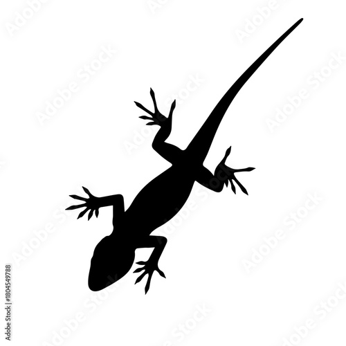 A stark black silhouette of a lizard or gecko, viewed from above, against a clean white background.