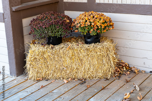 Autumn Flowers on Bale