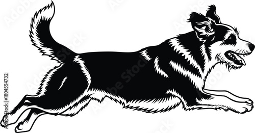 Black and white running dog illustration vector border collie design eps silhouette