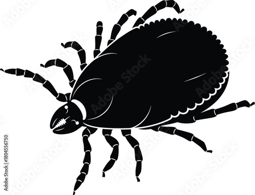Tick illustration black and white vector parasite insect arachnid art eps silhouette
