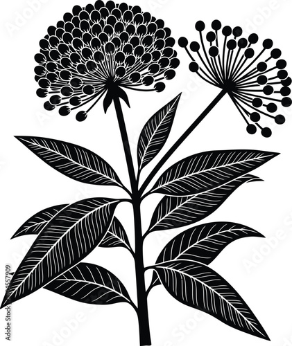 Black and white botanical illustration of a flowering plant drawing eps silhouette