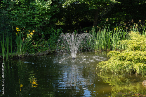 Tranquil garden pond surrounded by lush greenery. Cascading fountain flows in center of pond, while tall plants and yellow Iris pseudacorus (yellow flag, yellow iris) flowers create natural atmosphere