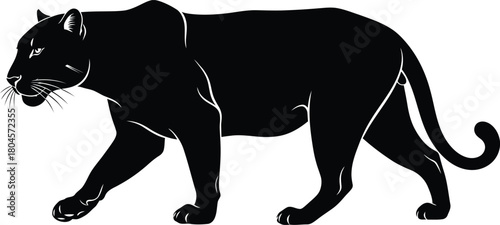 Black panther illustration vector art walking jaguar design isolated eps silhouette