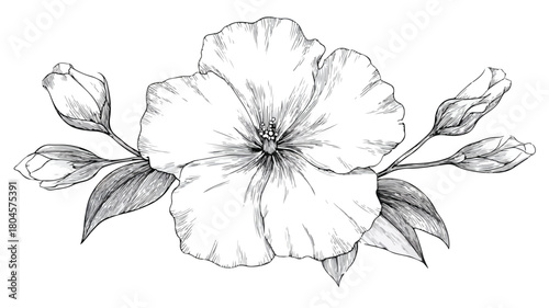 Elegant Botanical Illustration of Plant with Central Flower in Vector Art