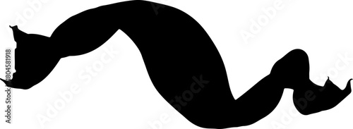Silhouette of a gracefully arched marine animal with fins, possibly a seal or sea lion