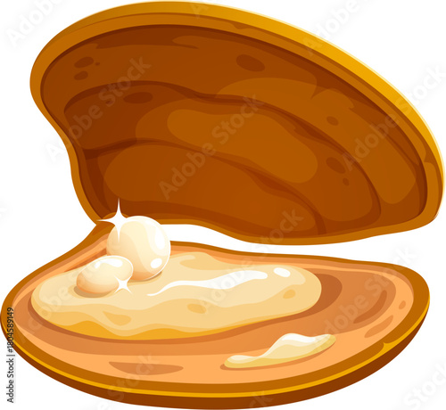Cartoon marine pearl shell or oyster clam. Ocean nature precious scallop isolated vector mollusk, underwater life jewelry oyster clam. Marine valuable seashell or sea bottom rare pearl shell