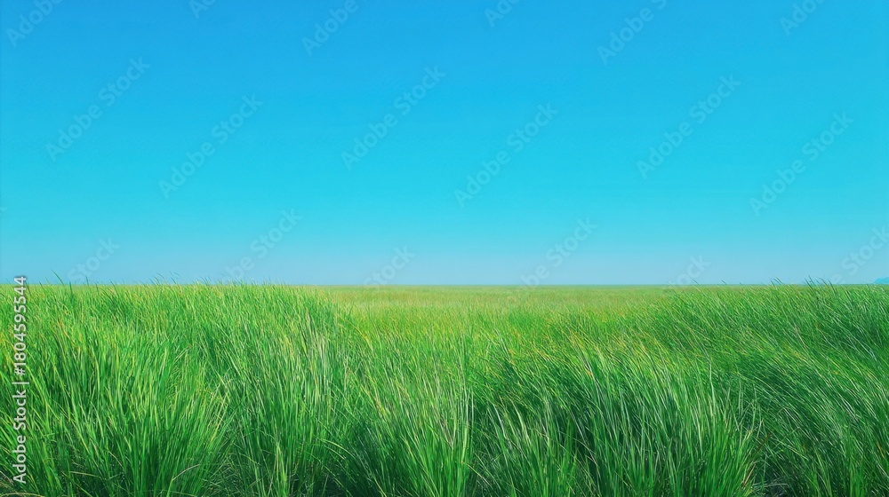 Obraz premium Lush Green Grass Under Clear Sky with Vibrant Colors in a Tranquil Landscape Perfect for Natural Scenery and Outdoor Photography Projects