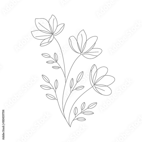 Delicate outline drawing of three blooming flowers and leaves